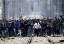 Migranti vse bolj udeleženi pri kriminalnih dejanjih