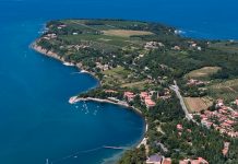 Izjava tedna: Deset let so nam trgali od plač in regresov