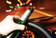 Osem dejstev o slovenskih voznikih