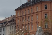 Jelen in košuta nista dočakala niti prižiga lučk