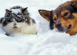 Kaj nas čaka ponoči: Hladna fronta prinaša izrazito ohladitev in sneženje do nižin