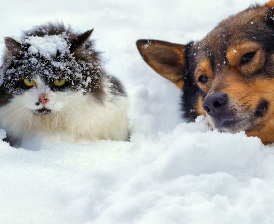 Kaj nas čaka ponoči: Hladna fronta prinaša izrazito ohladitev in sneženje do nižin