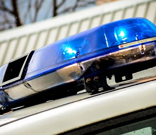 Padec skozi led na Koseškem bajerju: Mimoidoči hitro ukrepali