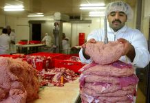 Pozor: Tudi v Ljubljani okuženo poljsko meso za kebabe