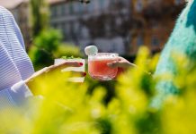 Prihaja Brina – ljubljanski festival džina