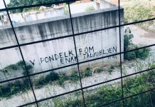 Foto tedna: V Stožicah je še ljubezen slepa