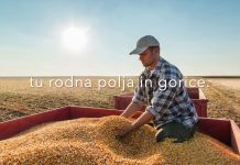 Video | Slovenci smo upravičeno ponosni na svojo domovino