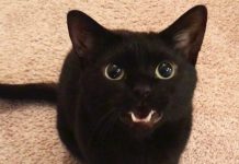 Tega nikar ne počnite na petek, 13.