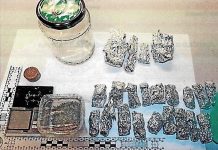 Pri mlajšemu moškemu poleg droge našli še pištolo