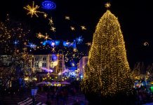 Kam v veselem decembru?