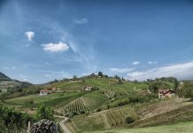 Janez Janša: Atentat na podeželje