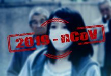 Hrvat čez Slovenijo tihotapil Kitajce