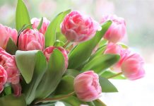 Zakaj praznujemo dan žena?