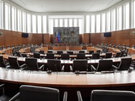 Danijel Krivec in Franc Križan izvoljena za podpredsednika DZ