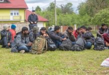 V nedeljo prijeli kar 341 oseb, ki so nezakonito vstopile v državo