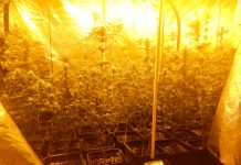 Dve hišni preiskavi: Zasežena večja količina droge