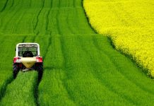 Objavljen je razpis za ugodna posojila