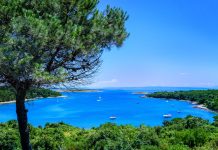 Med Slovenijo in Hrvaško brez omejitev