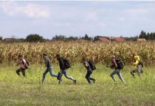 Vsak dan ujetih 300 in več ilegalnih migrantov