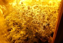 Policisti pri 26-letniku zasegli prepovedano drogo