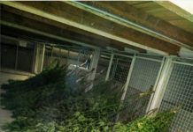 Razkrinkan! Ljubljanski policisti odkrili gojišče in 40 kilogramov prepovedane droge