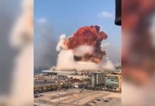 (Video) Ko se poročni dan spremeni v grozo!