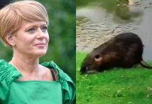 Sprevrženo in nedopustno kaj vse si privoščijo novinarji RTV Slovenija!