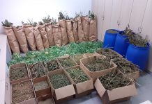 Policisti zasegli večje količine prepovedane droge