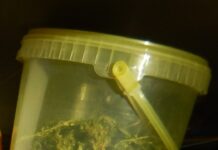 Pri 46-letniku policisti zasegli prepovedano drogo ter plinsko pištolo