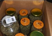 44-letnik je kradel čebelje panje in prodajal prepovedano drogo