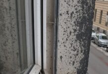 Vandali tudi nad ministrovo hišo! Neverjetno, kaj o tem meni bivši policist?