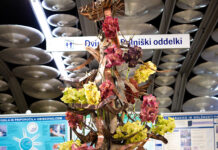 Vrhunski cvetličar Miha Oblak podaril božični aranžma UKC Ljubljana