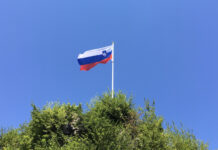 Dr. Milan Zver: Srčno in pogumno praznujmo Dan samostojnosti in enotnosti