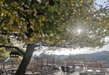 Odpirajo se gostinske terase lokalov. Kaj je potrebno vedeti?