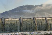 Rekordno nizke temperature: V tem kraju so izmerili najnižjo