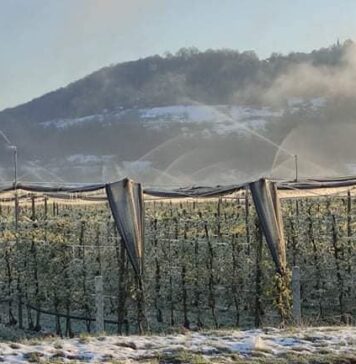 Ledeni možje prinesli mraz: Temperature pod ničlo prvič po več kot treh desetletjih