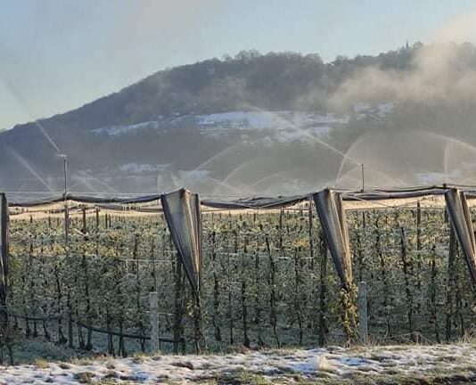 Ledeni možje prinesli mraz: Temperature pod ničlo prvič po več kot treh desetletjih