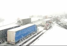 (Foto) Obilno sneženje povzročilo kaos na avtocesti