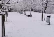 Vremenska napoved: Kje bo zapadlo največ snega?