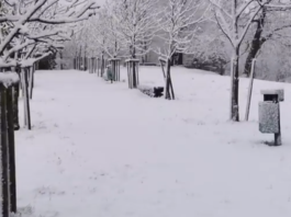 Prihaja snežna pravljica: V višjih lega že sneži, jutri pa se bomo tudi v nižinah zbudili v belo jutro