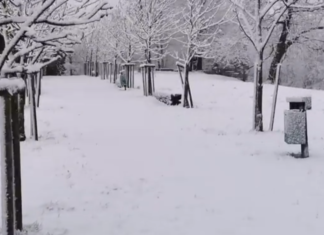 Prihaja snežna pravljica: V višjih lega že sneži, jutri pa se bomo tudi v nižinah zbudili v belo jutro