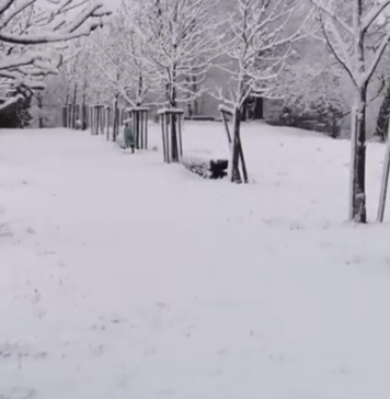 Prihaja snežna pravljica: V višjih lega že sneži, jutri pa se bomo tudi v nižinah zbudili v belo jutro