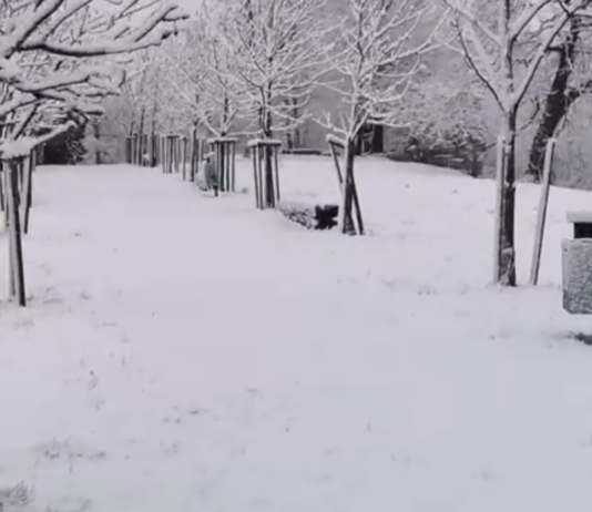 Prihaja snežna pravljica: V višjih lega že sneži, jutri pa se bomo tudi v nižinah zbudili v belo jutro