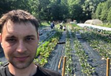 Neverjetno! Kordiševe poslovne ideje: Gre za spodbujanje spodbuja dela na črno?