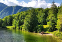 V nedeljo referendum o zakonu o vodah: O čem odločate?
