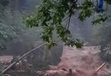 (Video) Poglejte to moč narave: Podivjana reka Mislinja