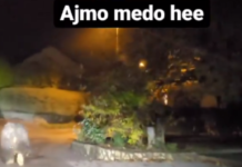 Znana identiteta storilca, ki je nalašč povozil medveda