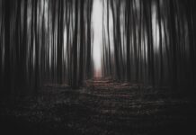 Reševalna akcija: Ponoči v gozdu našli poškodovano nosečnico