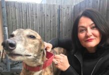 Srčna gesta poslanke Anje Bah Žibert