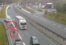 (Video) Saj ni res, pa je: To vse so posnele Darsove kamere